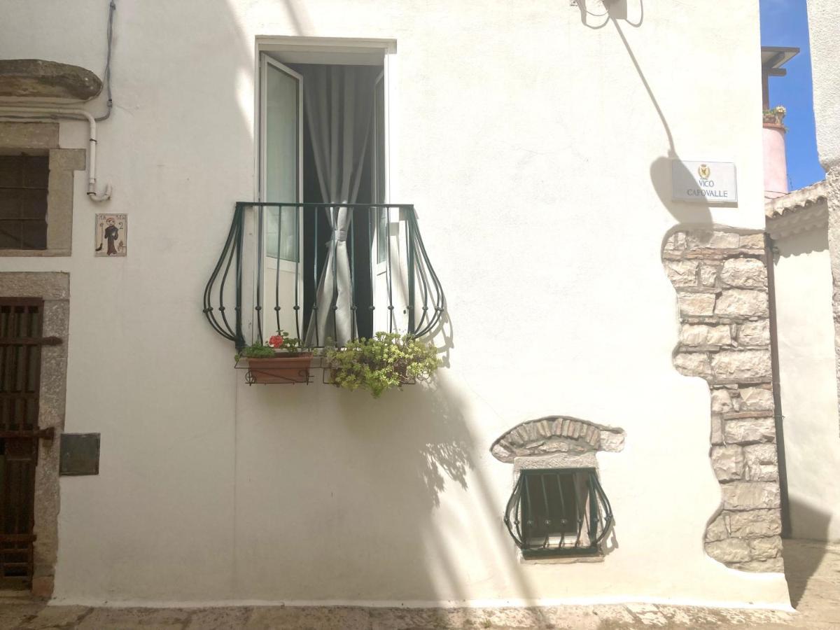 La Casa Di Noah Villa Venosa Eksteriør bilde
